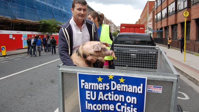 IFA calls for the introduction of pigmeat export refunds
