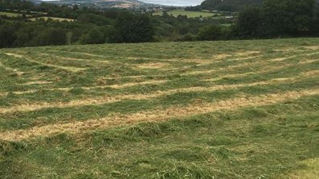A dry week in store with temperatures to reach 21 degrees - Met Eireann