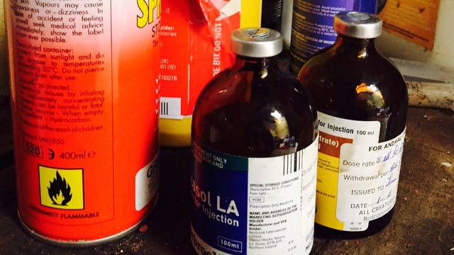 2 hospitalised from 'taking animal medication' after vet surgery break-in