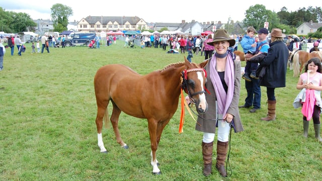 Virginia Show 2015: Full results