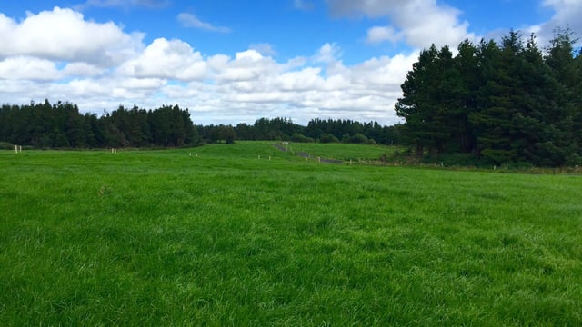 Soil sampling - how to read your soil test results