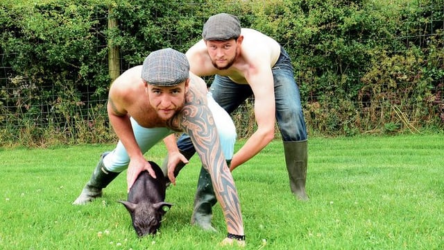 The topless Irish farmer calendar is going stateside