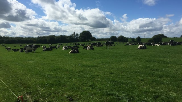 'Dairy farmers with plans to expand should be spending money on grass growth'