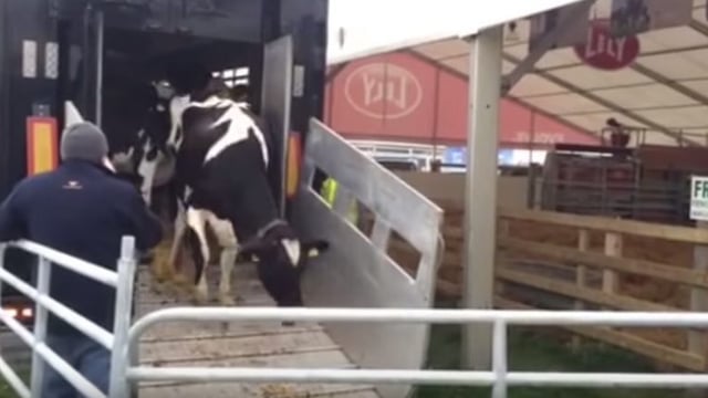 Video: Get a glimpse of behind the scenes at the Ploughing