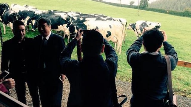 High-level Chinese delegation kicks off visit to Ireland at 120ha Wicklow dairy farm