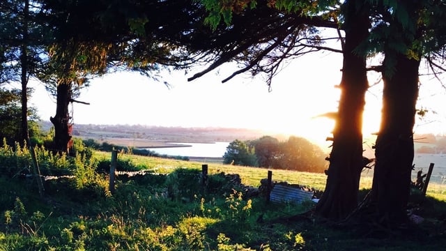 Light showers this weekend, dry and settled next week - Met Eireann