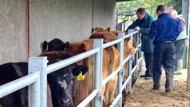 Northern TB rates appear to stabilise