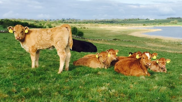 Dry and cool for the weekend, mild and breezy next week - Met Eireann