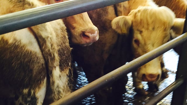 4 things you should know about a possible Farm Building Relocation Scheme