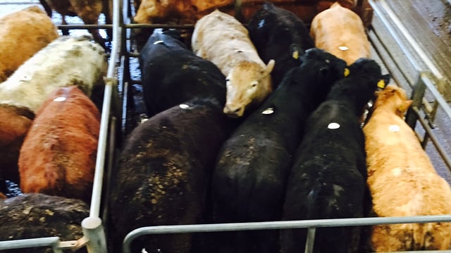 'We want evidence that factory charges are in farmers’ interest'