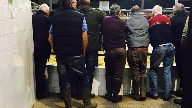 Quiz: Have you got what it takes to be a farmer?