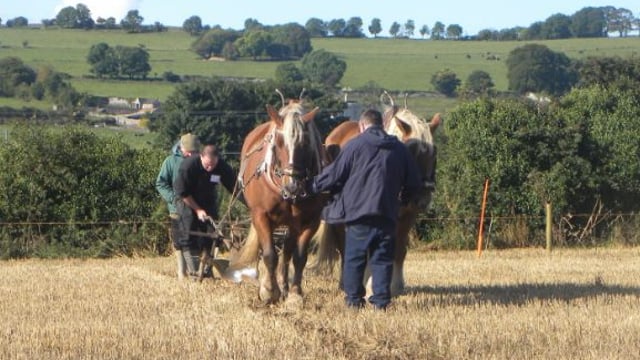 National Ploughing Championships heads to Offaly for 2016