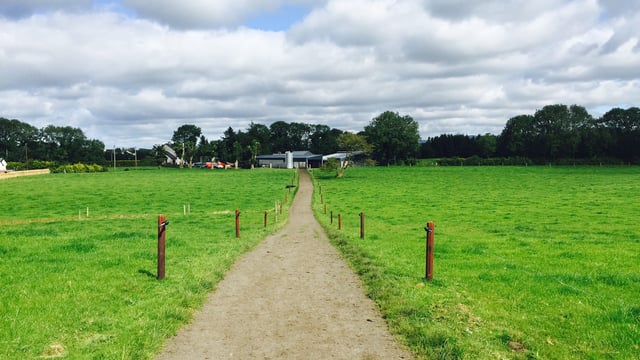 Lameness: Autumn time is peak risk period on dairy farms