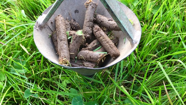 Soil testing – getting back to basics