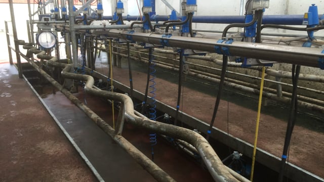 April milk prices in NI up over 40% on the same month in 2016