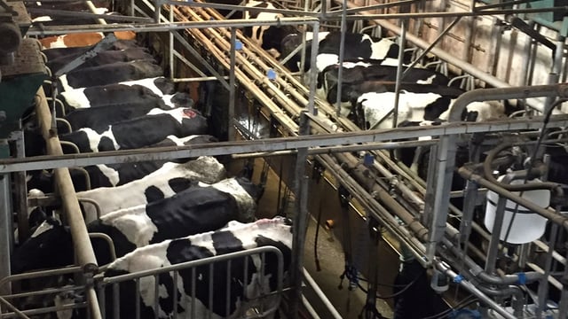 Fears of post quota exodus from winter milk production