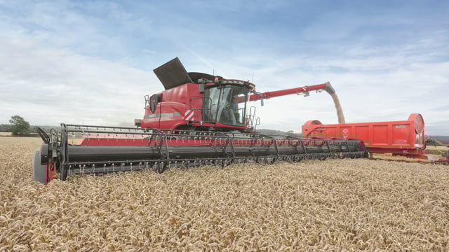 UK 2015 wheat and barley yields reach new records