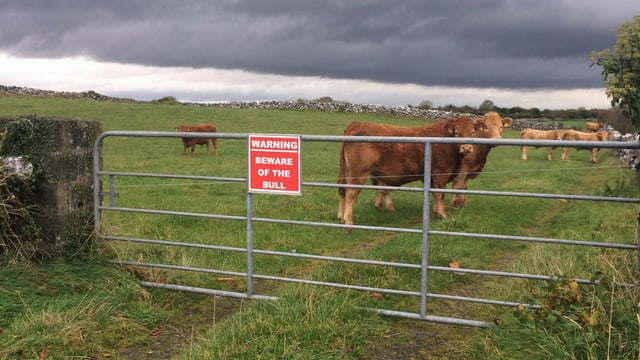 Unsettled week in store across the country - Met Eireann