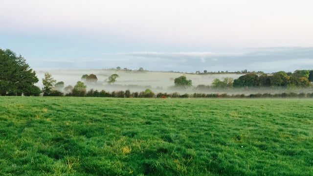 Over 200 farmers still waiting on GLAS payments