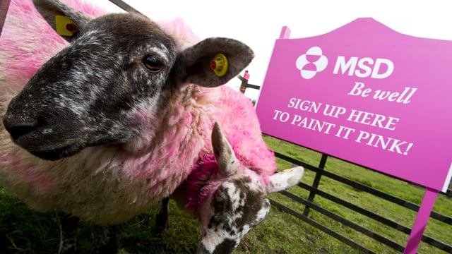 Farmers asked to pick up a paint brush to help raise cancer awareness