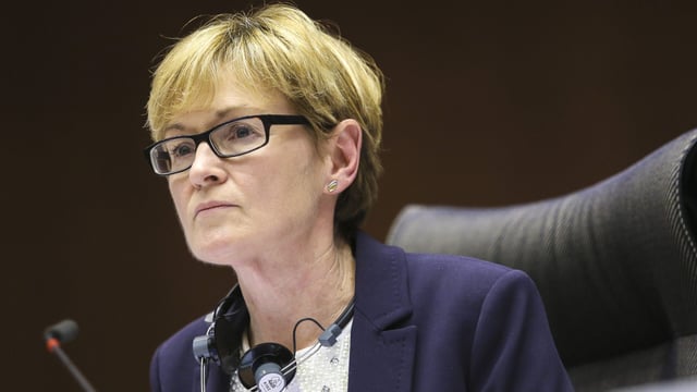 Potential is there for significant CAP changes post-2020 - McGuinness