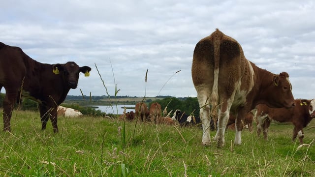 New Agriculture and Land Use Alliance launches Countryside COP