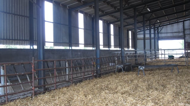 Straw prices: As high as €100 for big bales