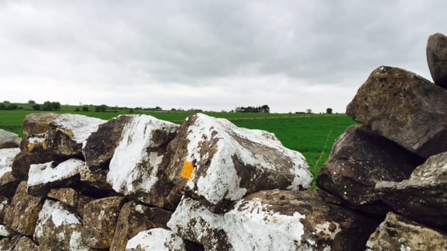 Dry and settled conditions this week - Met Eireann