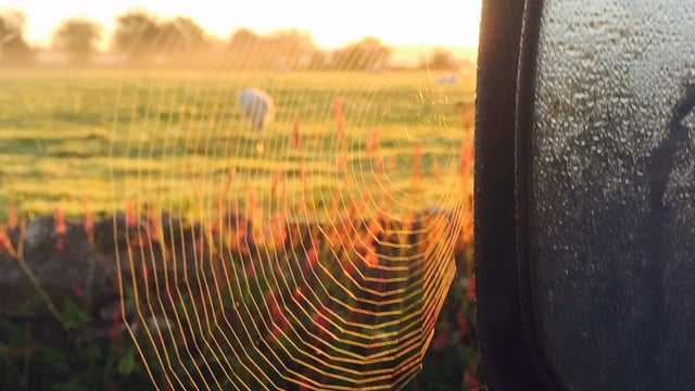 Here's how to make your farm safer over the winter months