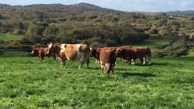Close observation needed during this breeding season
