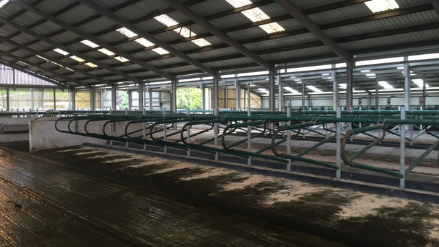Thinking about installing cubicles? Here's what you need to know...