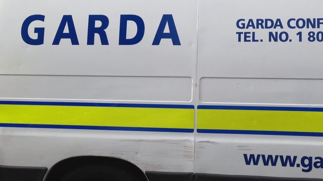 Stowaways bolt from meat truck in Co. Laois