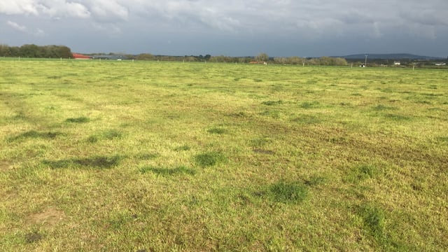 Grass management during the current dry spell