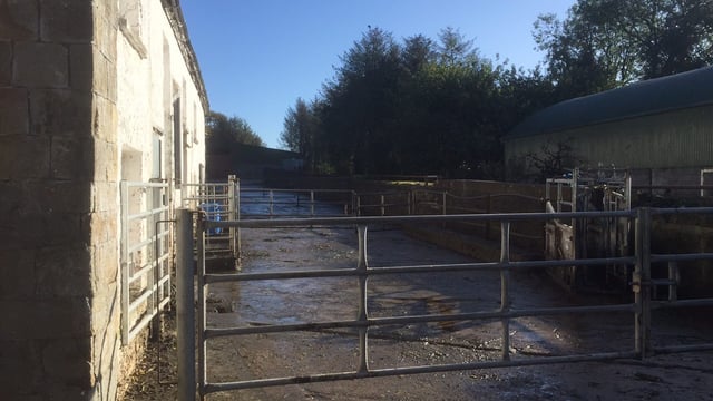 HSA funding for farm safety initiatives cut by over €150,000 for 2016