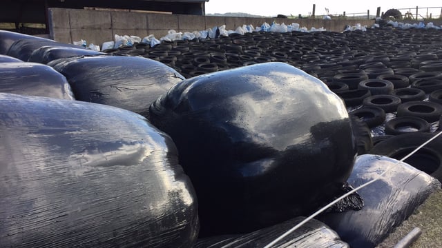 Fodder transport subsidy must be 'appropriately targeted' - Minister Creed