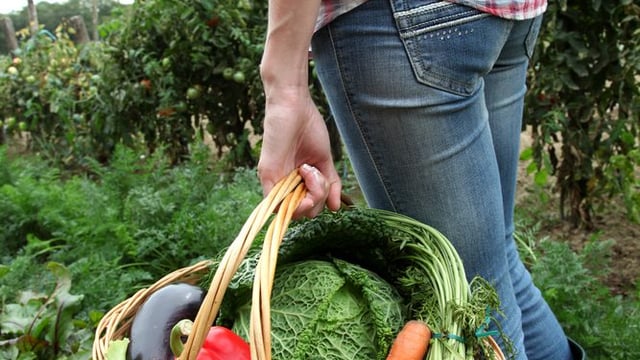Irish organic sector worth €109.5m; up 9% in 2015