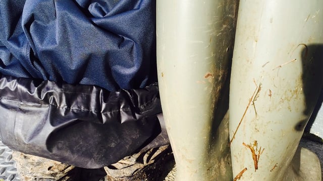 How realistic are you when it comes to biosecurity?