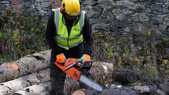 Farmers encouraged to attend seminar on felling trees safely