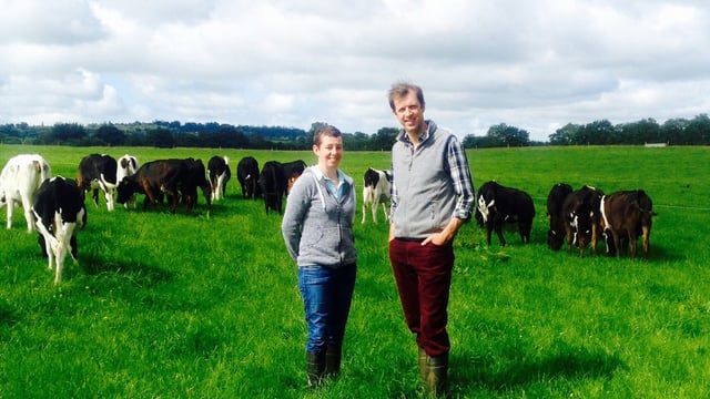 Video: An 800-dairy-cow herd features on tonight's Ear to the Ground