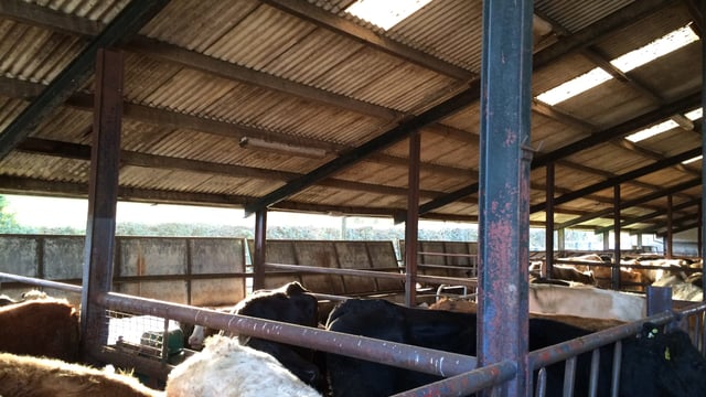 Man dies in farm accident in Co. Down
