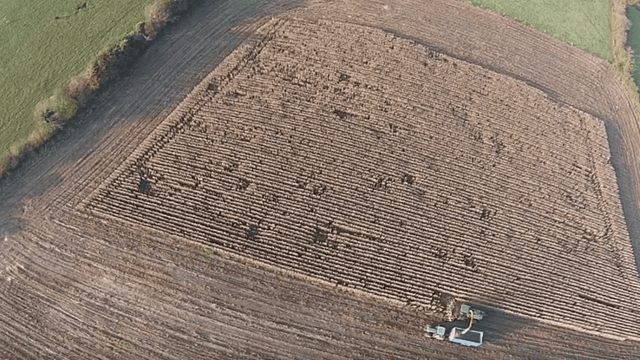 Video: The maize harvest in Tipperary gets wrapped up