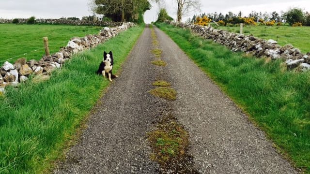 There's more wet and windy weather on the way - Met Eireann