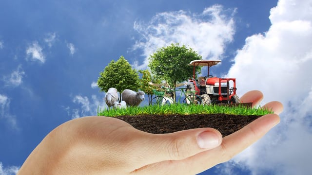 Here's why the climate change talks in Paris are important to every Irish farmer