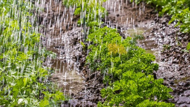 Here's where rainfall was heaviest over the weekend