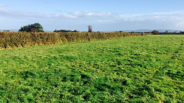 Council of agriculture ministers backs carbon farming plan
