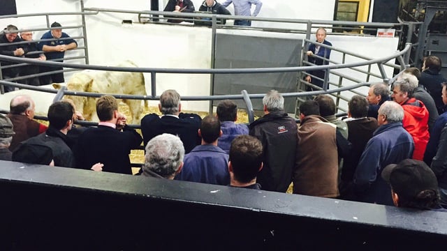 'Farming carries 10 times more risk of fatality'