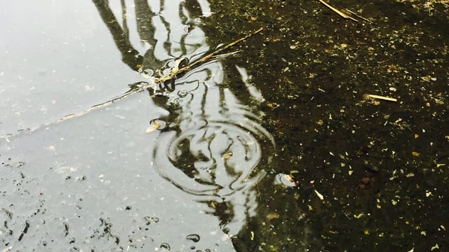 Gusts of 100km/h followed by wet, windy and cold weather - Met Eireann