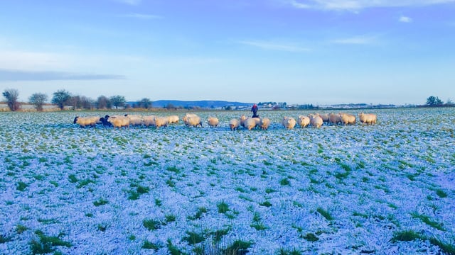 Here's how to be 'winter-ready' on the farm