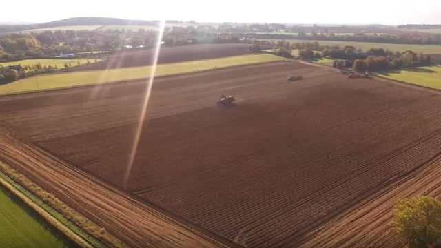 Video: The potato harvest came to an end in Kildare recently