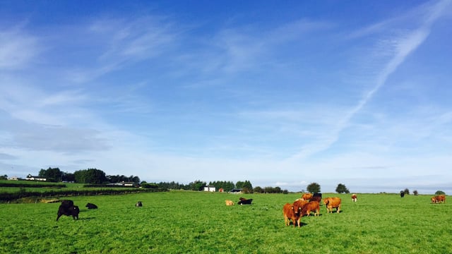 Government urged to give farmers 'fair share' of BAR fund